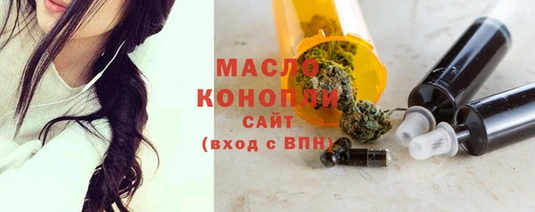 индика Нягань