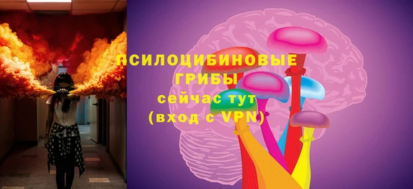 прущая мука Верея