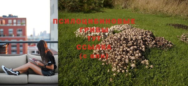 индика Нягань