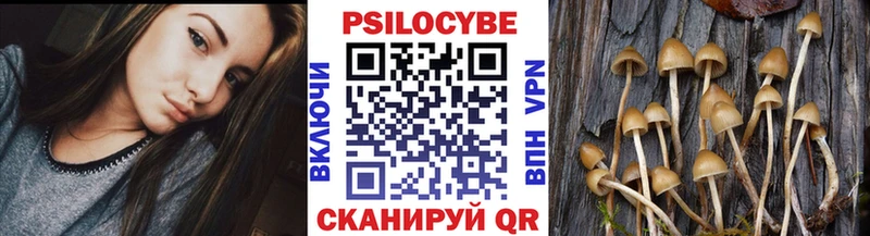 Купить закладки  Кологрив  Псилоцибиновые грибы мухоморы 